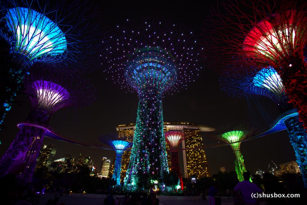 OCBC Garden Rhapsody