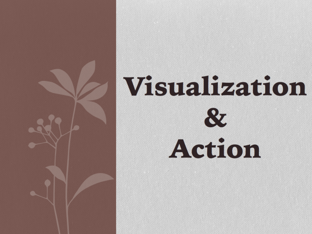 Visualization & Action